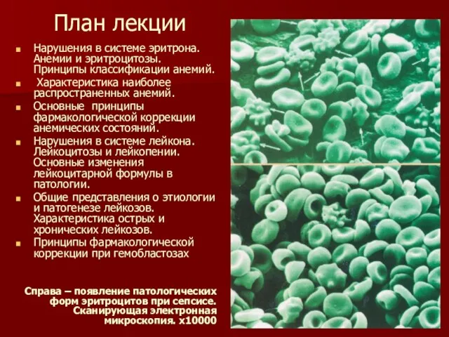 План лекции Нарушения в системе эритрона. Анемии и эритроцитозы. Принципы классификации анемий.