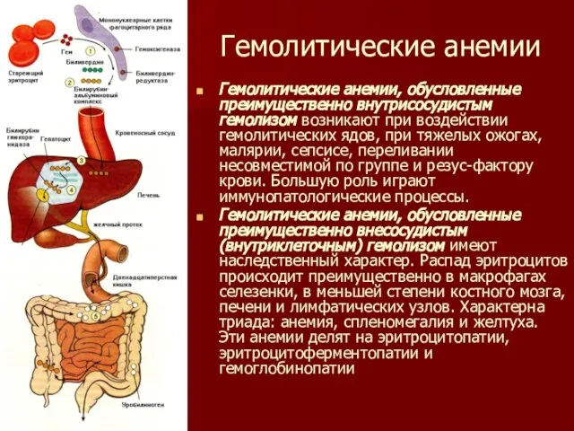 Гемолитические анемии, обусловленные преимущественно внутрисосудистым гемолизом возникают при воздействии гемолитических ядов, при