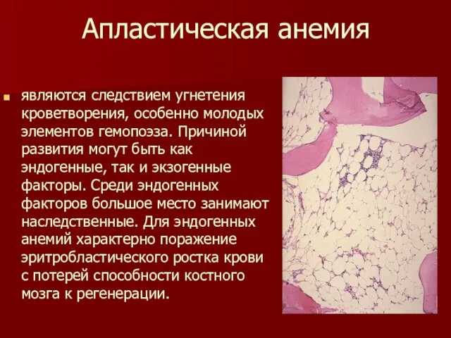 Апластическая анемия являются следствием угнетения кроветворения, особенно молодых элементов гемопоэза. Причиной развития