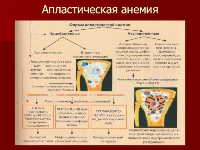 Апластическая анемия