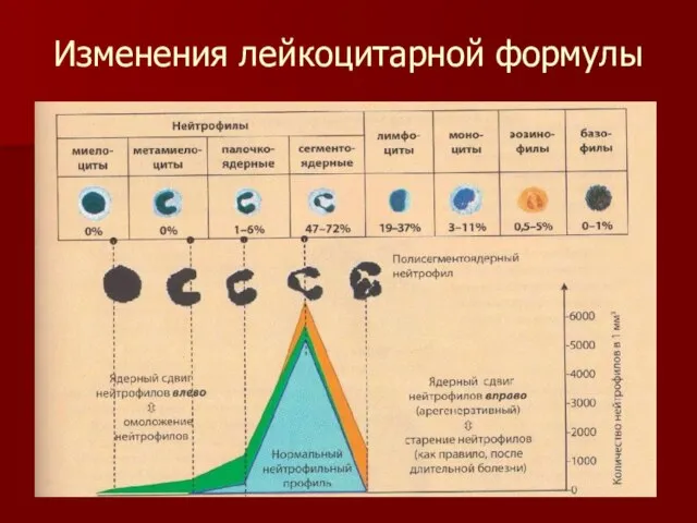 Изменения лейкоцитарной формулы