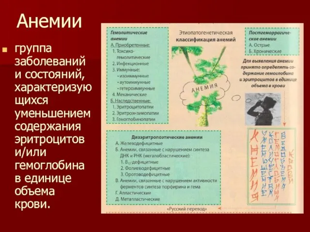 Анемии группа заболеваний и состояний, характеризующихся уменьшением содержания эритроцитов и/или гемоглобина в единице объема крови.