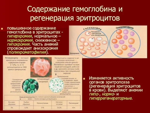 Содержание гемоглобина и регенерация эритроцитов повышенное содержание гемоглобина в эритроцитах - гиперхромия,