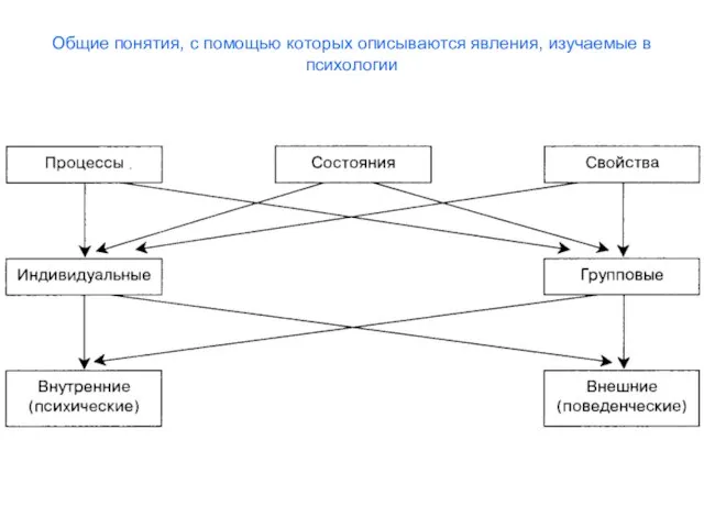 Общие понятия, с помощью которых описываются явления, изучаемые в психологии