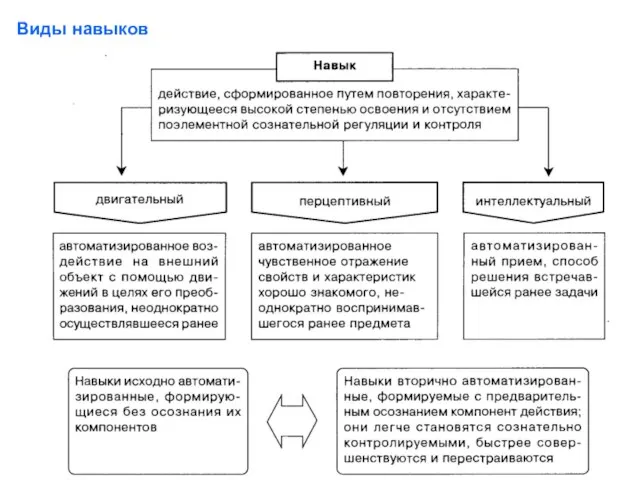 Виды навыков