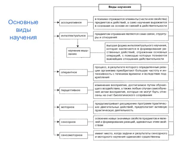 Основные виды научения