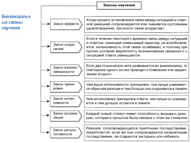 Бихевиоральные законы научения