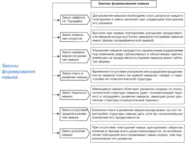 Законы формирования навыка