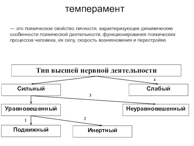 темперамент — это психическое свойство личности, характеризующее динамические особенности психической деятельности, функционирования