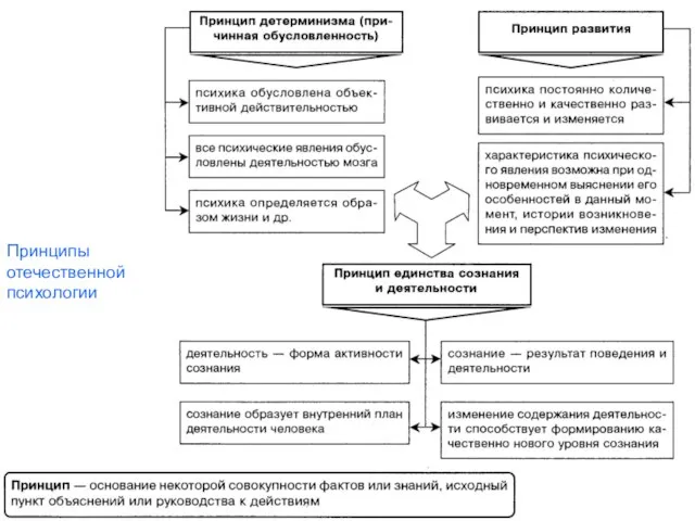 Принципы отечественной психологии