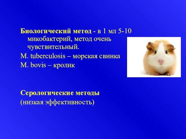 Биологический метод - в 1 мл 5-10 микобактерий, метод очень чувствительный. M.