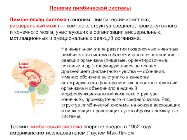 Лимбическая система (синоним: лимбический комплекс, висцеральный мозг) — комплекс структур среднего, промежуточного