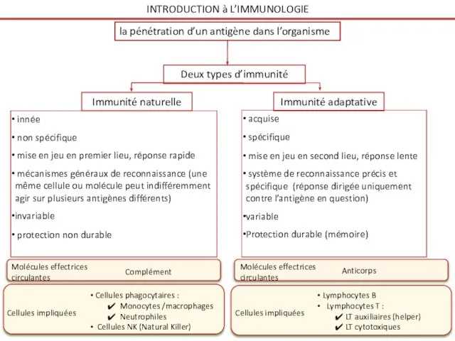 INTRODUCTION à L’IMMUNOLOGIE Deux types d’immunité Immunité naturelle Immunité adaptative innée non