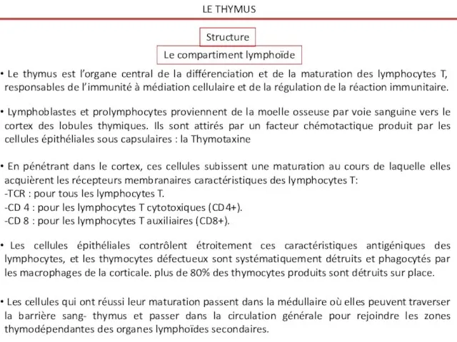 LE THYMUS Structure Le compartiment lymphoïde Le thymus est l’organe central de