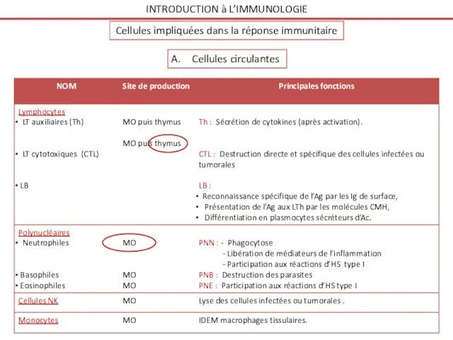 INTRODUCTION à L’IMMUNOLOGIE Cellules impliquées dans la réponse immunitaire Cellules circulantes