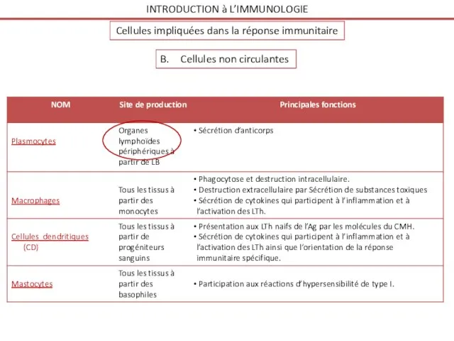 Cellules non circulantes INTRODUCTION à L’IMMUNOLOGIE Cellules impliquées dans la réponse immunitaire