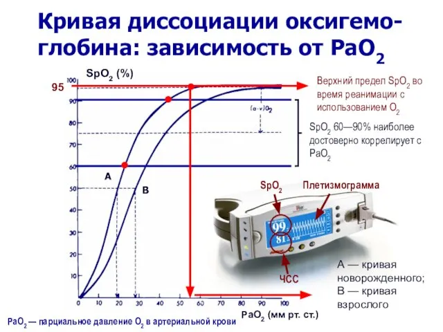 Кривая диссоциации оксигемо-глобина: зависимость от PaO2 РаО2 (мм рт. ст.) A B