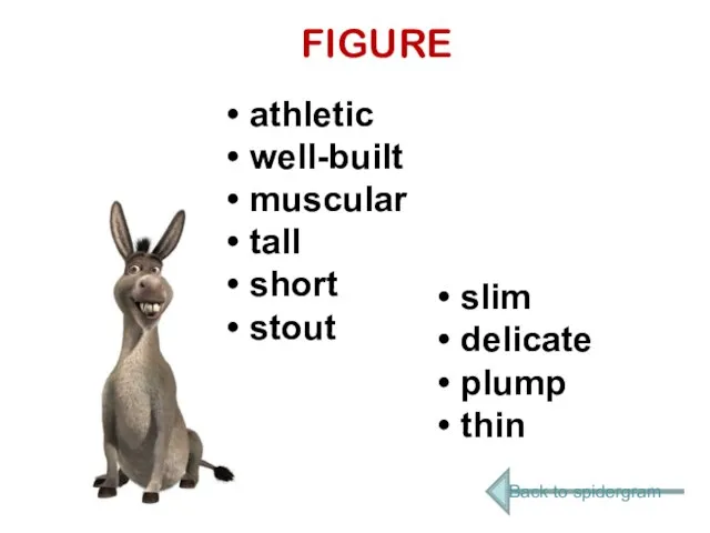 FIGURE slim plump fat athletic well-built muscular tall short stout slim delicate