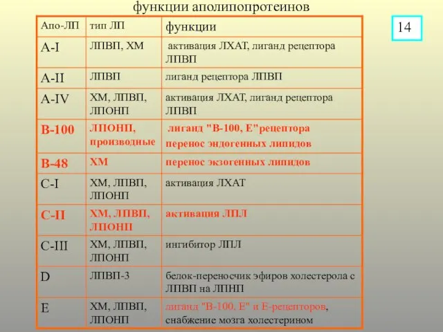 функции аполипопротеинов 14