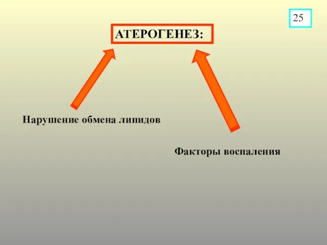 АТЕРОГЕНЕЗ: Нарушение обмена липидов Факторы воспаления 25