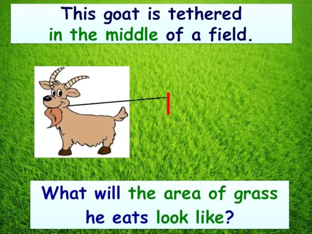 This goat is tethered in the middle of a field. What will