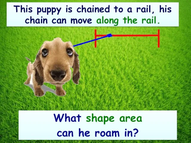 This puppy is chained to a rail, his chain can move along