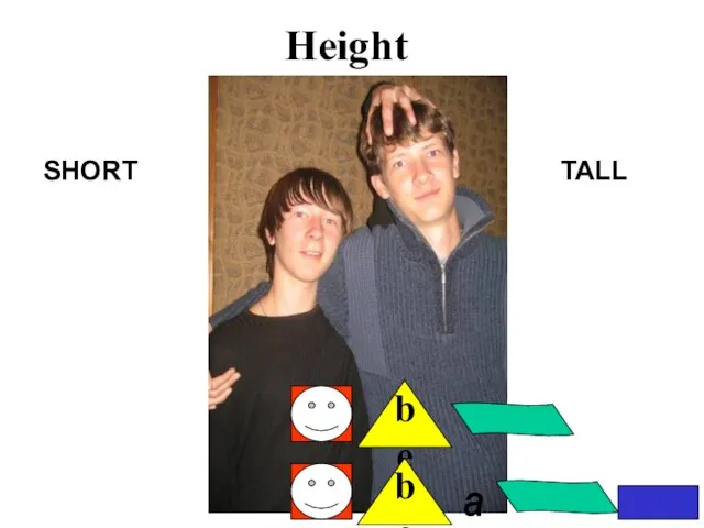 Height SHORT TALL