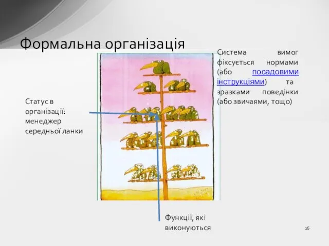 Формальна організація Статус в організації: менеджер середньої ланки Функції, які виконуються Система