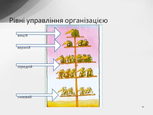 Рівні управління організацією вищій верхній середній низовий