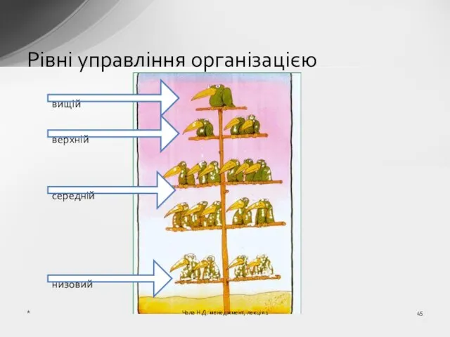 Рівні управління організацією вищій верхній середній низовий * Чала Н.Д. менеджмент, лекція 1