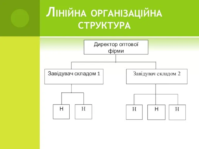 Лінійна організаційна структура