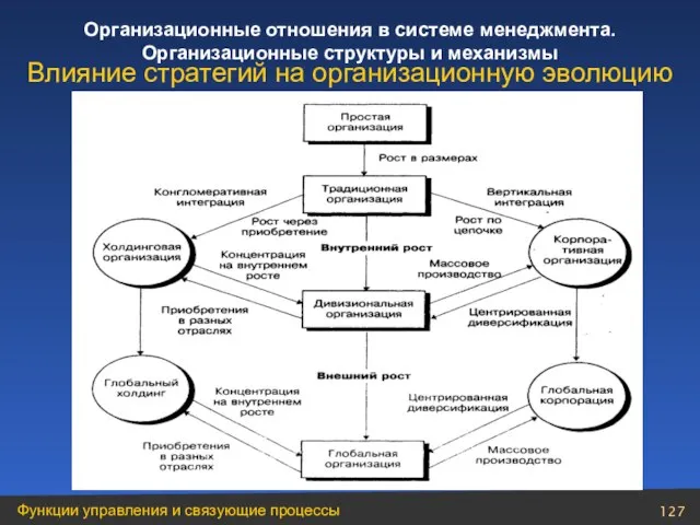 Влияние стратегий на организационную эволюцию