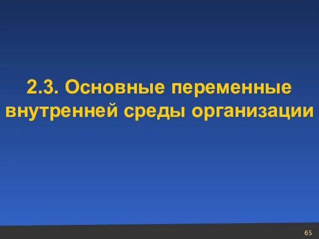 2.3. Основные переменные внутренней среды организации