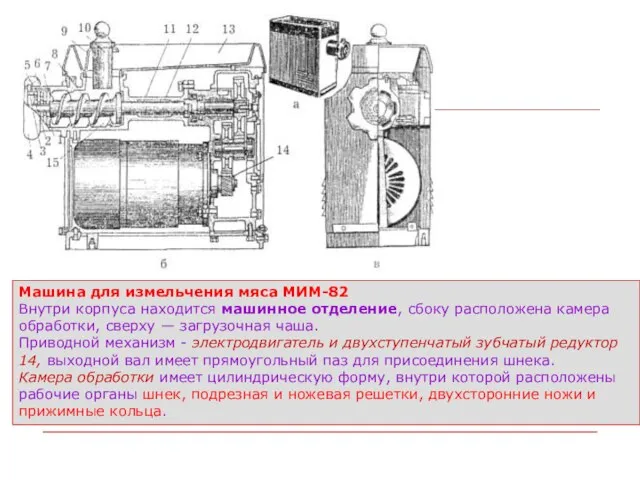 Машина для измельчения мяса МИМ-82 Внутри корпуса находится машинное отделение, сбоку расположена