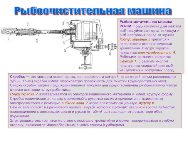 Рыбоочистительная машина Рыбоочистительная машина РО-1М предназначена для очистки рыб чешуйчатых пород от