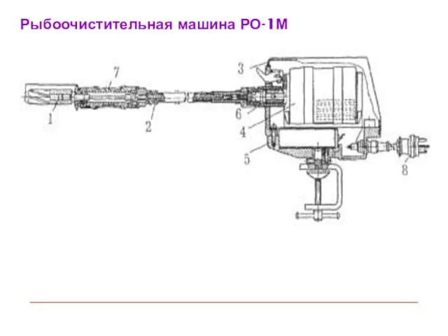 Рыбоочистительная машина РО-1М