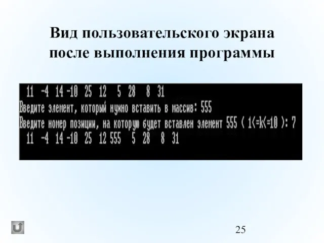 Вид пользовательского экрана после выполнения программы