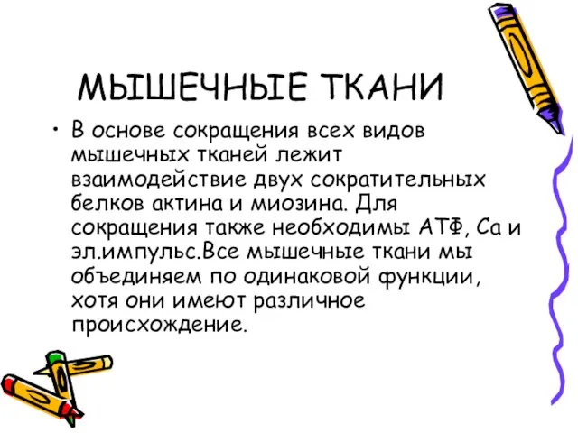 МЫШЕЧНЫЕ ТКАНИ В основе сокращения всех видов мышечных тканей лежит взаимодействие двух