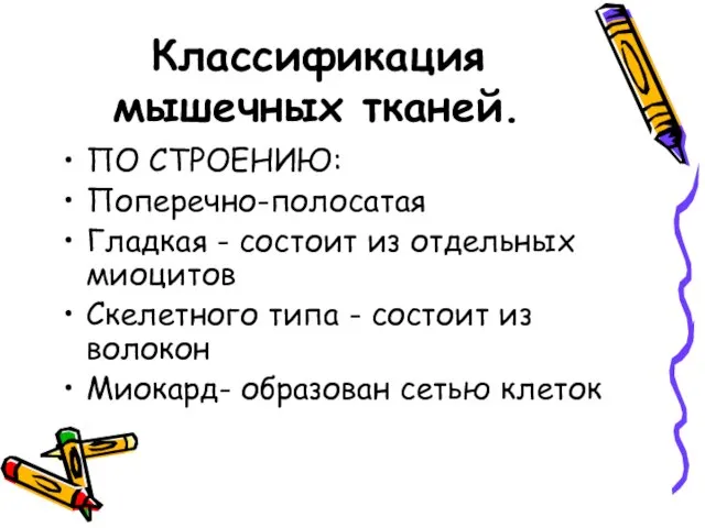 Классификация мышечных тканей. ПО СТРОЕНИЮ: Поперечно-полосатая Гладкая - состоит из отдельных миоцитов