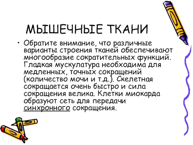 МЫШЕЧНЫЕ ТКАНИ Обратите внимание, что различные варианты строения тканей обеспечивают многообразие сократительных