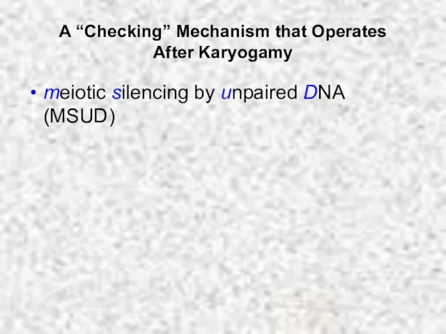 A “Checking” Mechanism that Operates After Karyogamy meiotic silencing by unpaired DNA (MSUD)