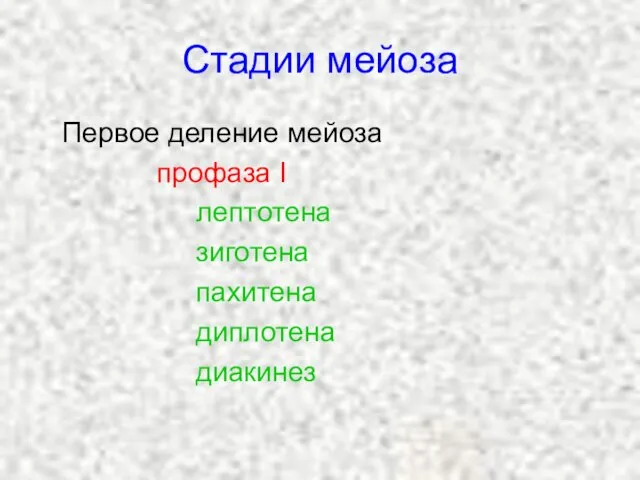 Стадии мейоза Первое деление мейоза профаза I лептотена зиготена пахитена диплотенa диакинез