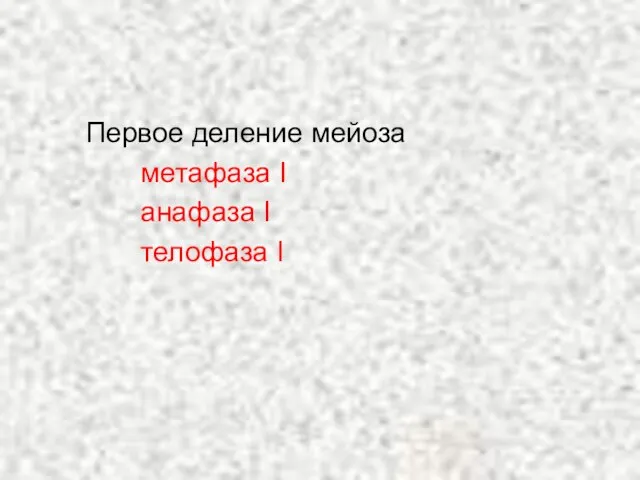 Первое деление мейоза метафаза I анафаза I телофаза I