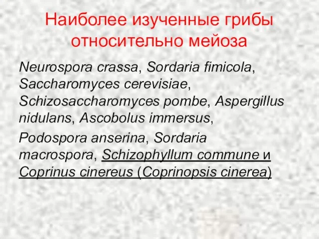 Наиболее изученные грибы относительно мейоза Neurospora crassa, Sordaria fimicola, Saccharomyces cerevisiae, Schizosaccharomyces