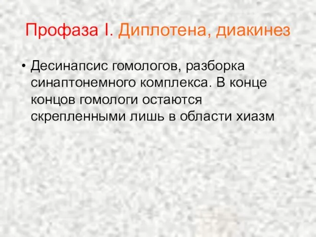 Профаза I. Диплотена, диакинез Десинапсис гомологов, разборка синаптонемного комплекса. В конце концов