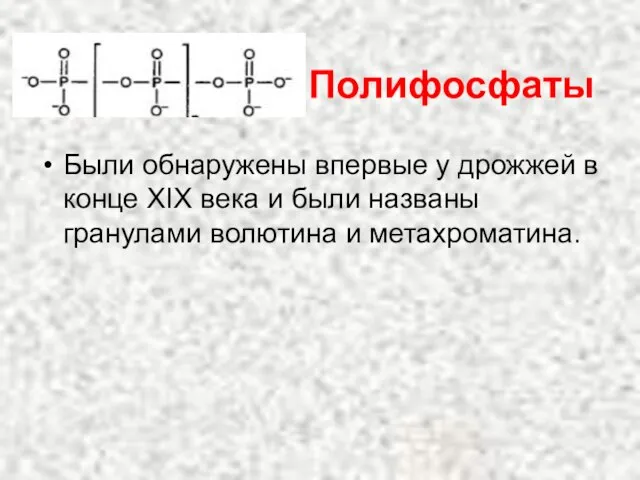 Были обнаружены впервые у дрожжей в конце ХIХ века и были названы