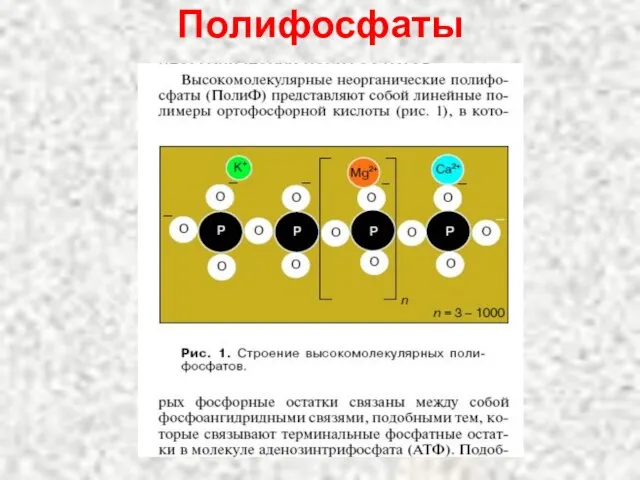 Полифосфаты