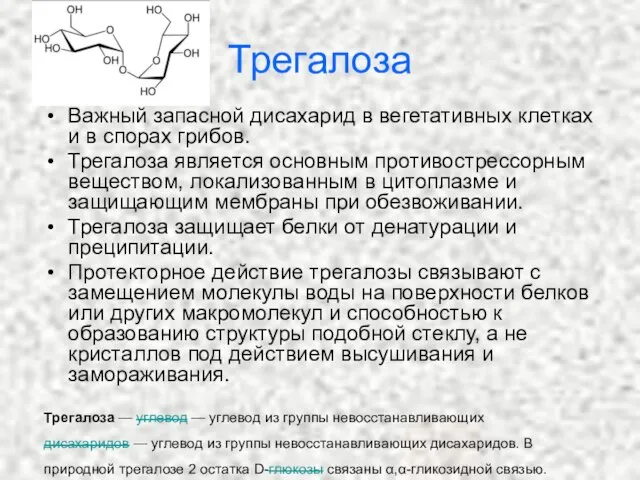 Трегалоза Важный запасной дисахарид в вегетативных клетках и в спорах грибов. Трегалоза