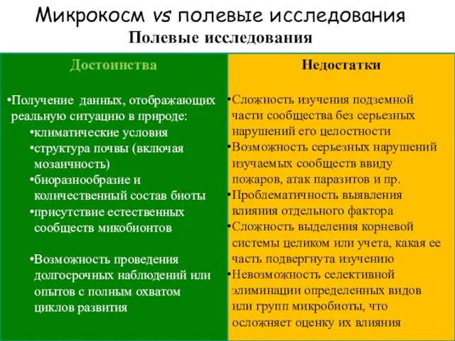 Микрокосм vs полевые исследования Полевые исследования Сложность изучения подземной части сообщества без