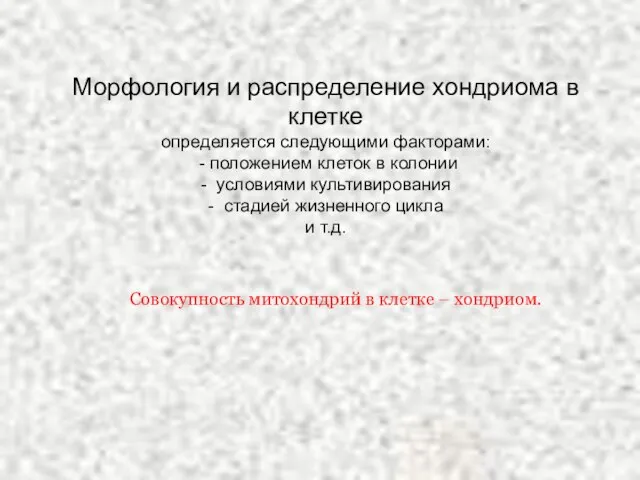 Морфология и распределение хондриома в клетке определяется следующими факторами: - положением клеток